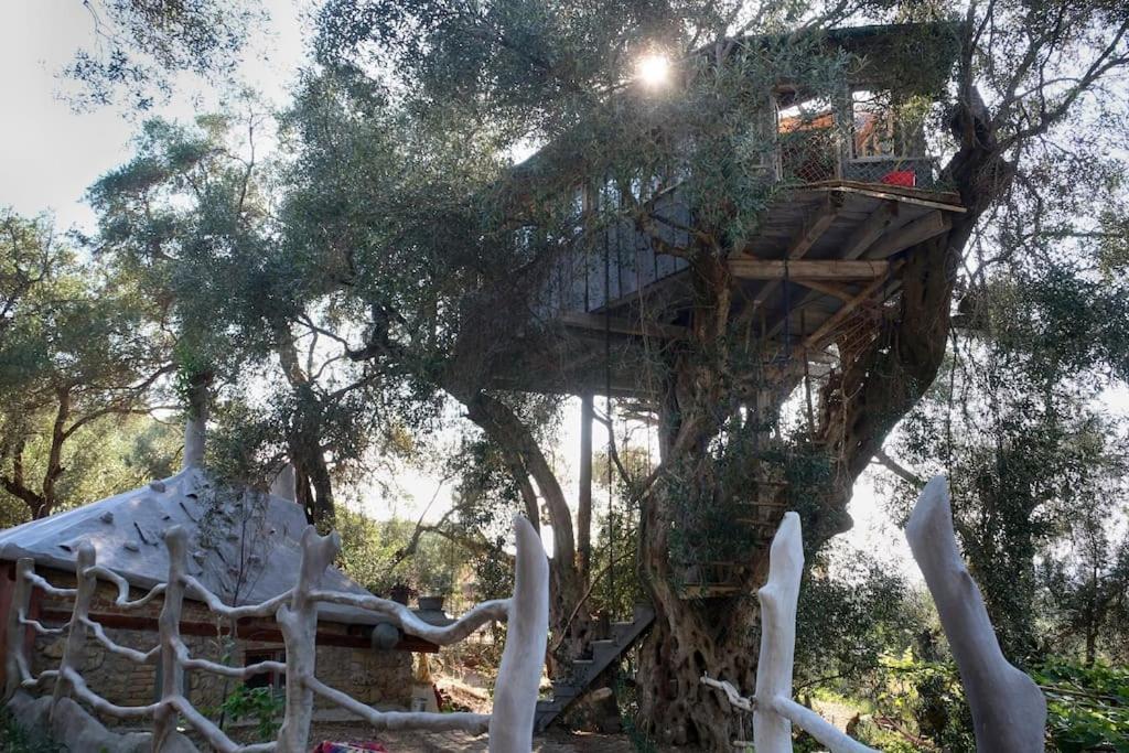 Villa Margaritis'S Treehouse à Paramonas  Extérieur photo