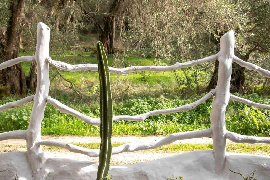 Villa Margaritis'S Treehouse à Paramonas  Extérieur photo