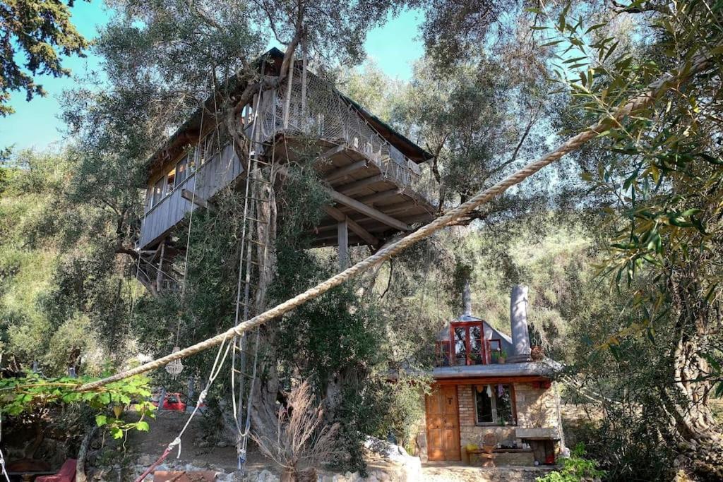 Villa Margaritis'S Treehouse à Paramonas  Extérieur photo