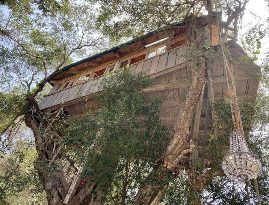 Villa Margaritis'S Treehouse à Paramonas  Extérieur photo